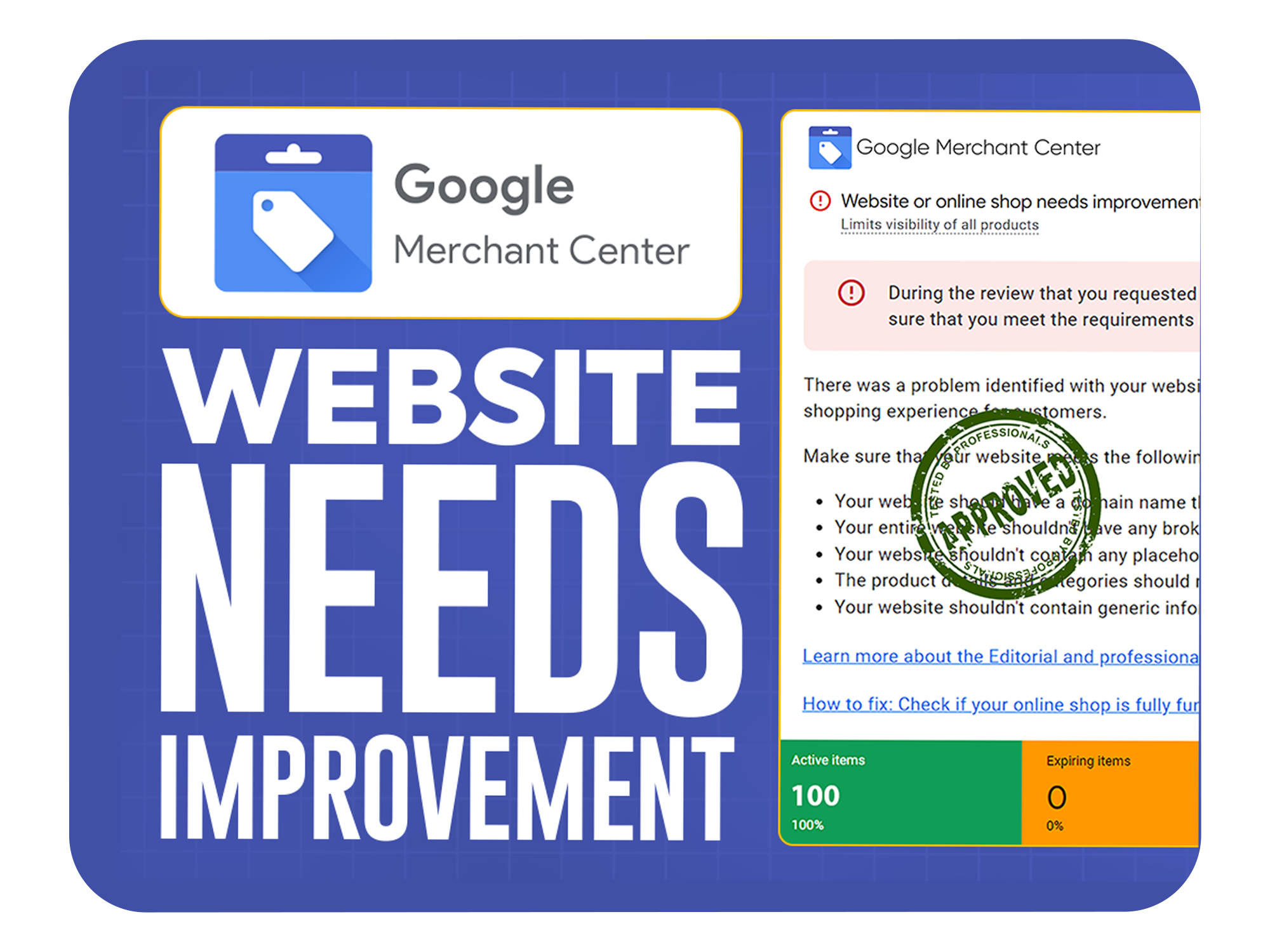 google merchant center Website Needs Improvement issue resolved