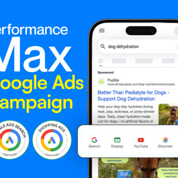 Google Ads Performance Max Campaign setup,optimization, setup Shopping Ads and PPC campaign