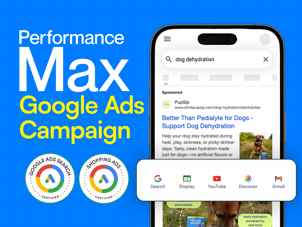 Google Ads Performance Max Campaign setup,optimization, setup Shopping Ads and PPC campaign